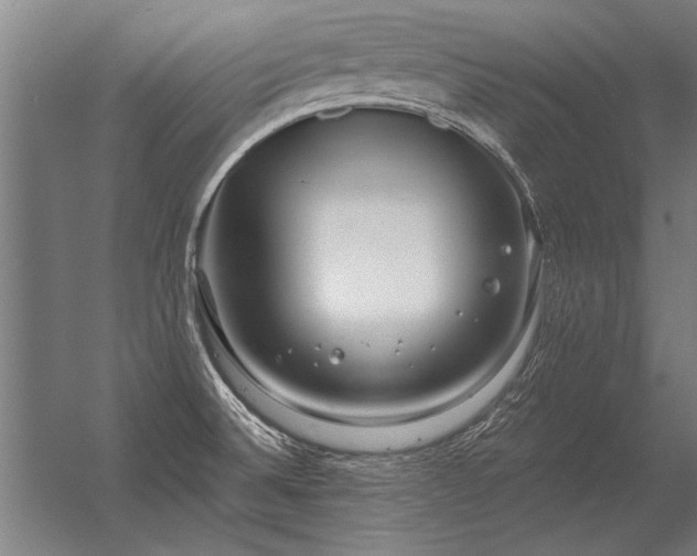 X0000056371524200509021801