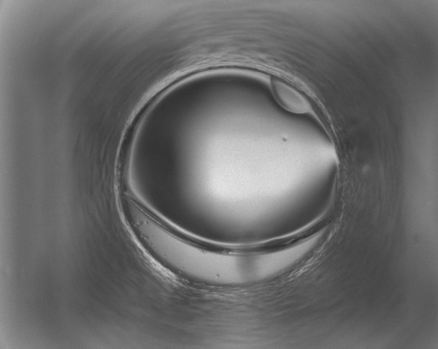 X0000056371525200509021801