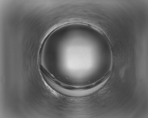 X0000056371527200509021801