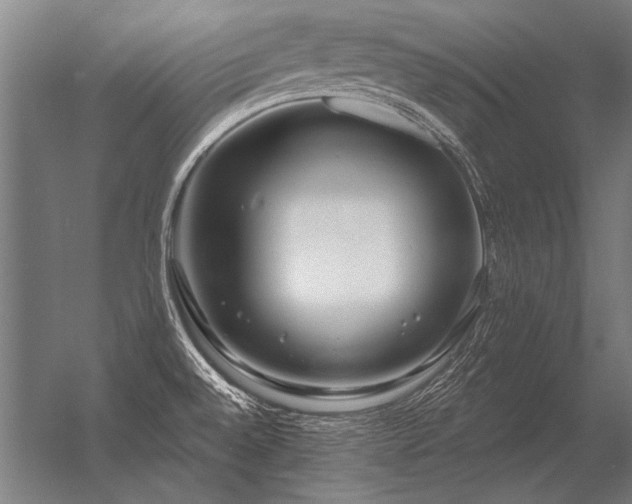 X0000056371528200509021801