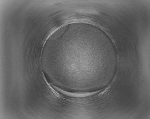 X0000056371529200509021801