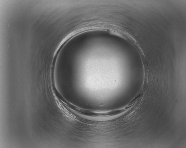 X0000056371530200509021801