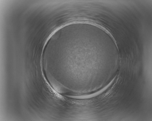 X0000056371533200509021801