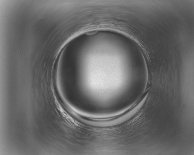 X0000056371534200509021801