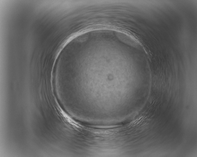 X0000056371535200509021801