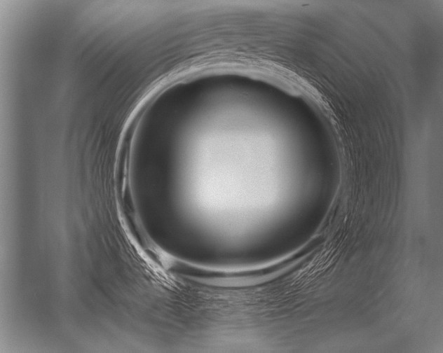 X0000056371536200509021801