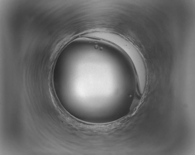 X0000056370001200509091701