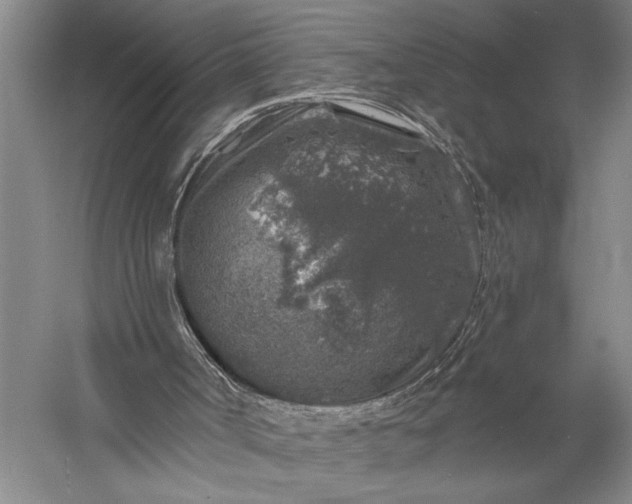 X0000056370002200509091701