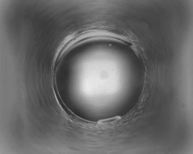 X0000056370003200509091701