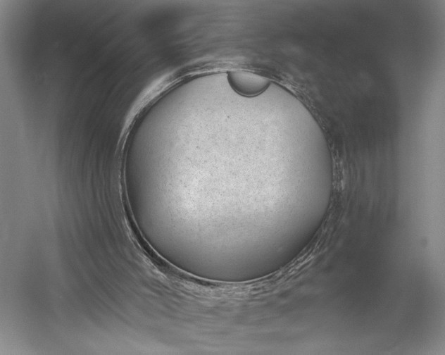 X0000056370004200509091701