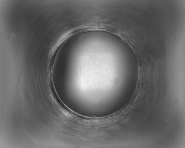 X0000056370005200509091701