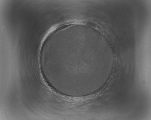 X0000056370006200509091701