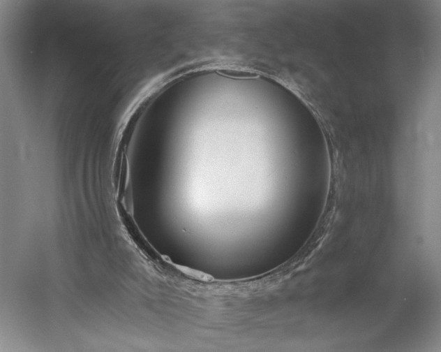 X0000056370007200509091701