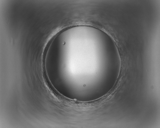 X0000056370008200509091701