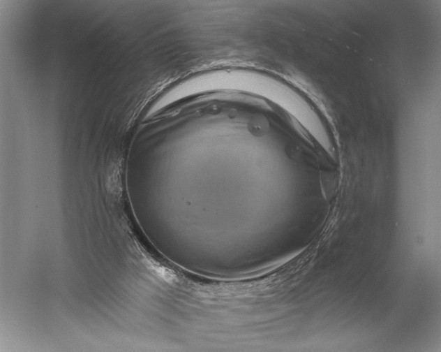 X0000056370009200509091701