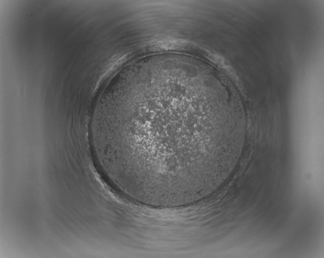 X0000056370010200509091701