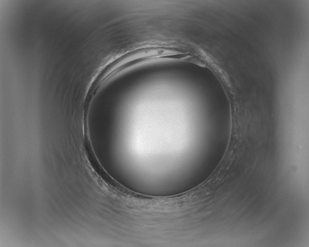 X0000056370011200509091701