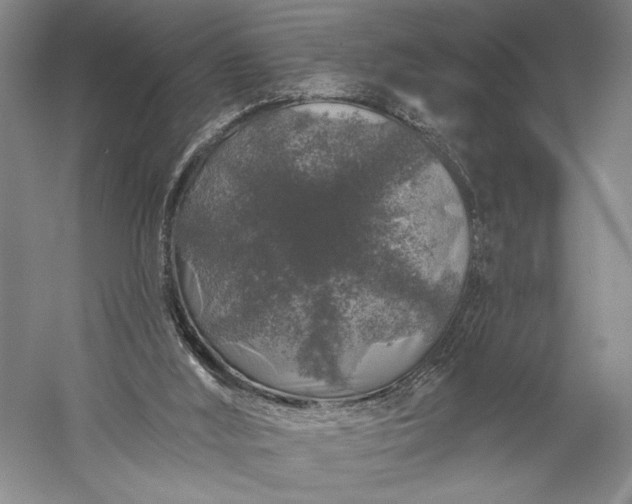 X0000056370012200509091701