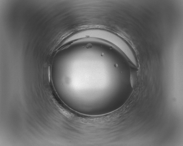 X0000056370013200509091701