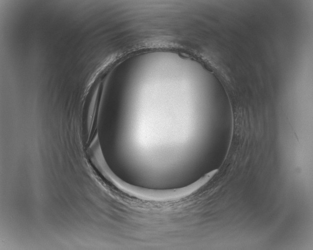 X0000056370015200509091701