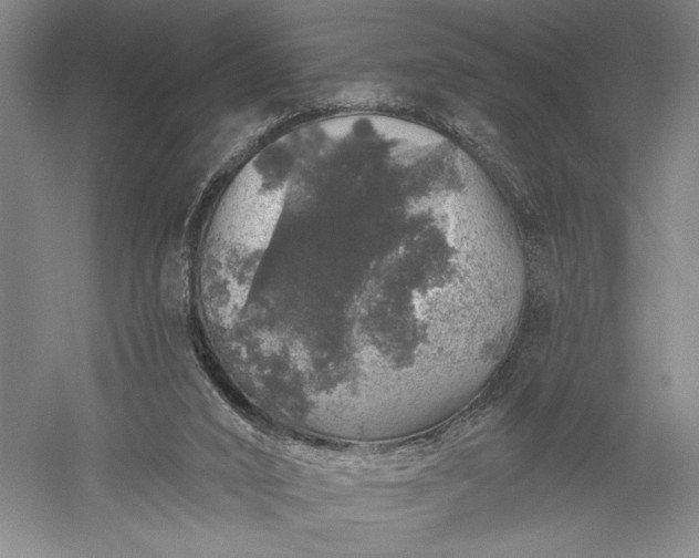 X0000056370016200509091701