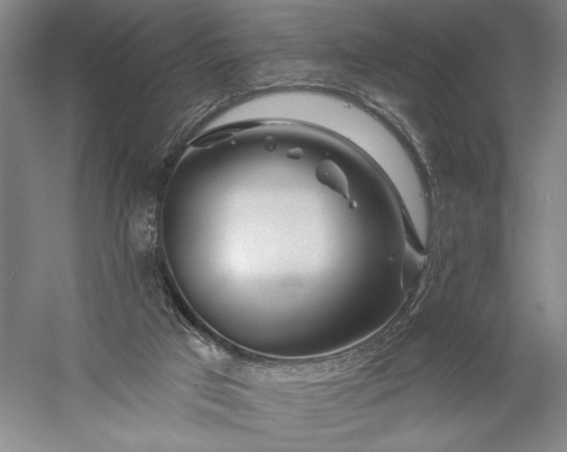 X0000056370017200509091701