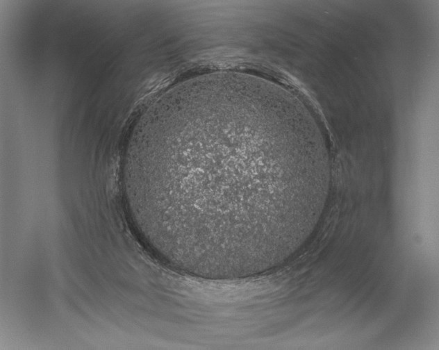 X0000056370018200509091701