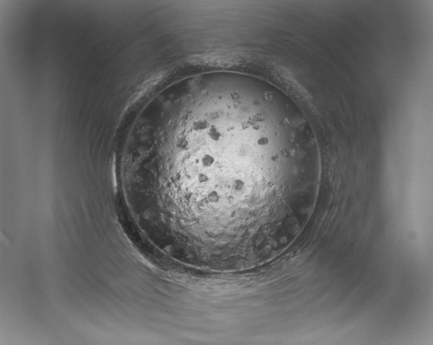 X0000056370020200509091701