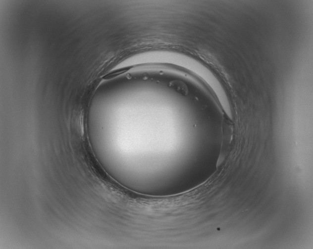 X0000056370021200509091701