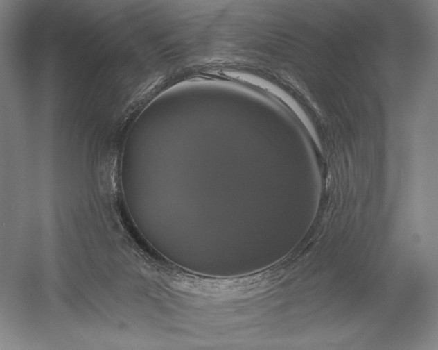 X0000056370023200509091701