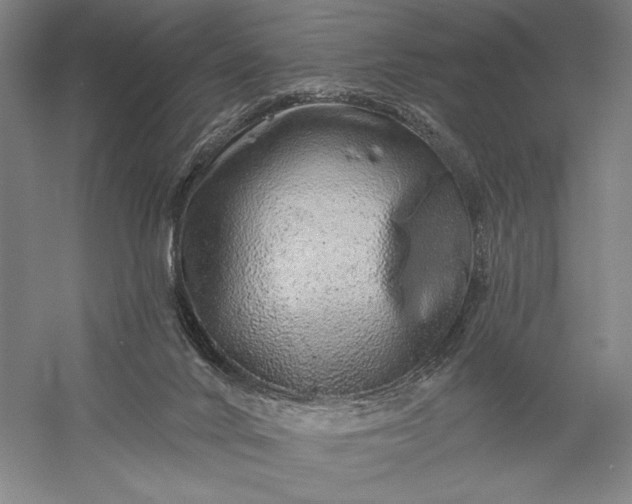 X0000056370024200509091701