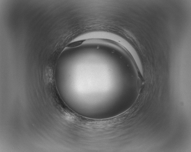 X0000056370025200509091700