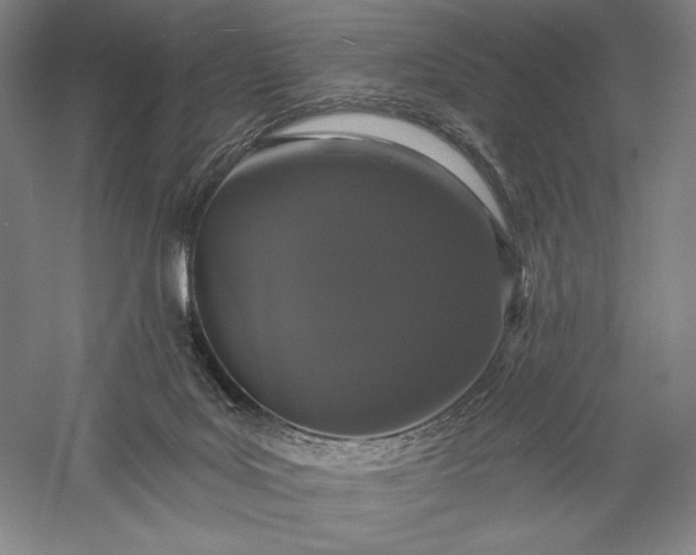 X0000056370027200509091700