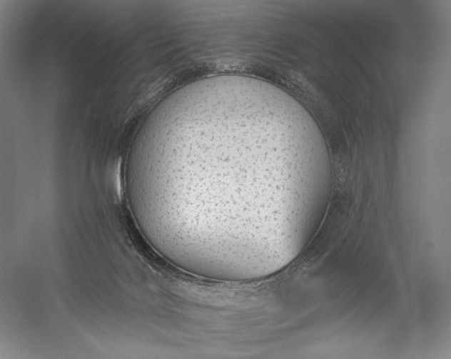 X0000056370028200509091700