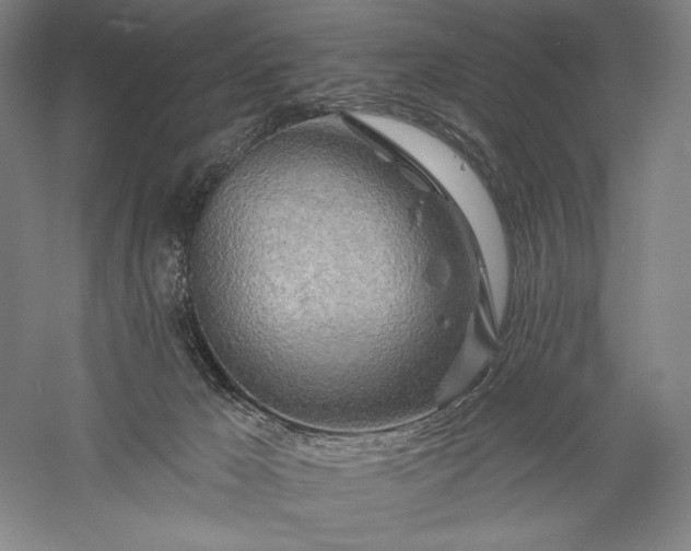 X0000056370029200509091700