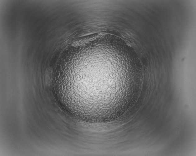 X0000056370030200509091700