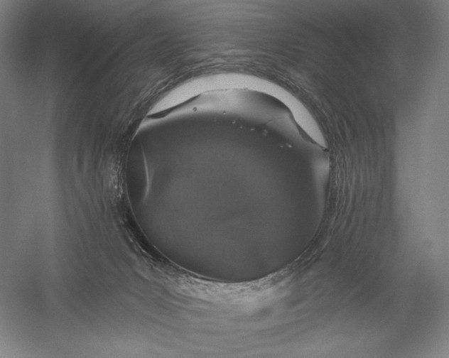 X0000056370031200509091700