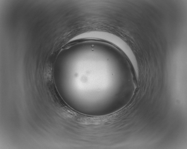 X0000056370033200509091700