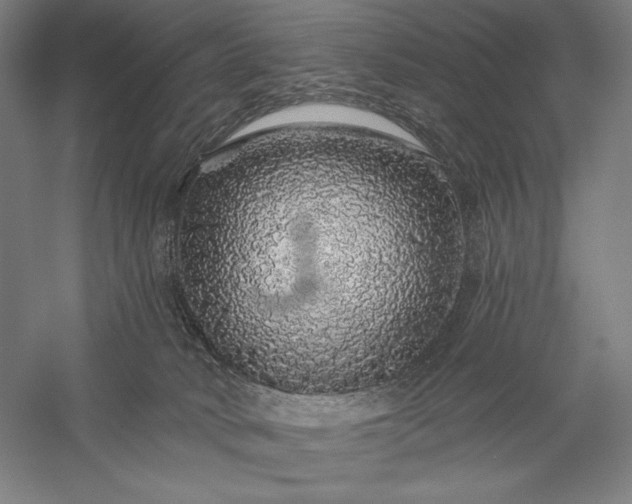 X0000056370034200509091700