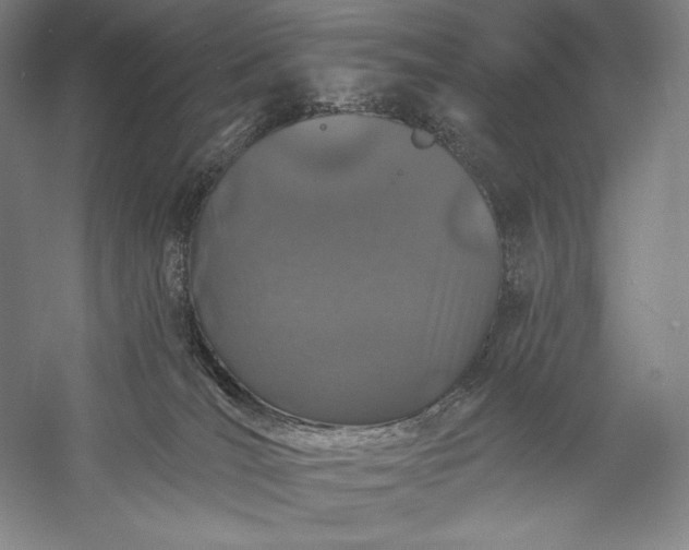 X0000056370036200509091700