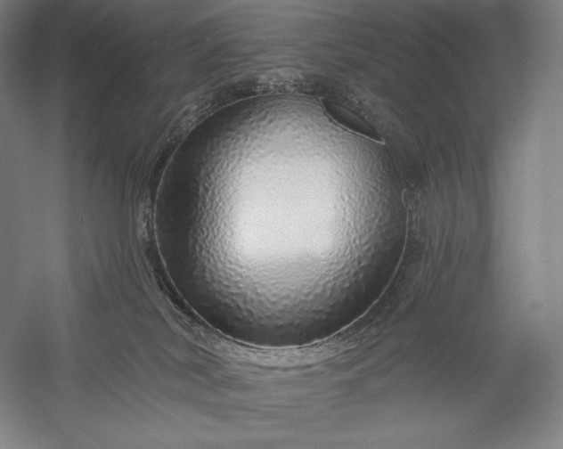 X0000056370038200509091700