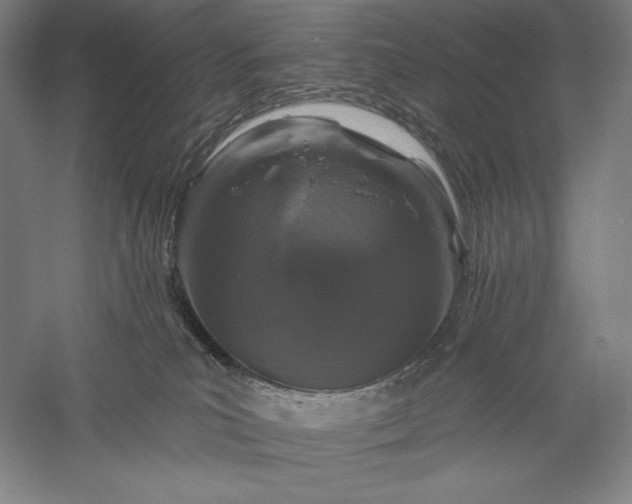 X0000056370039200509091700