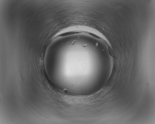 X0000056370040200509091700