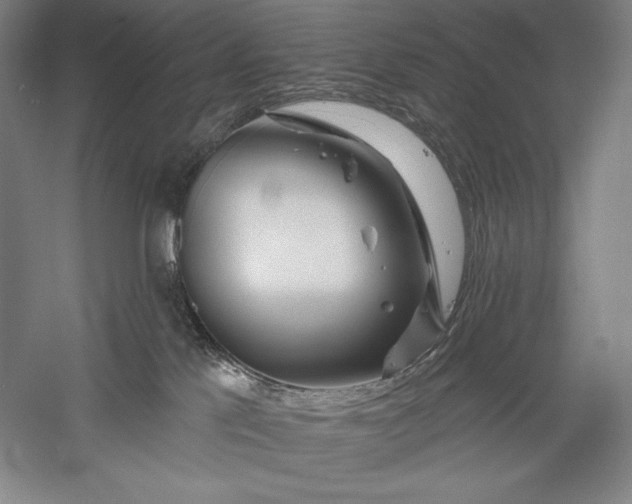 X0000056370041200509091700