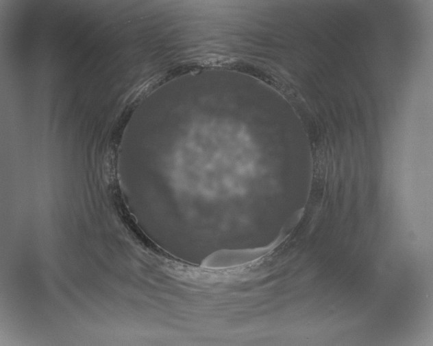 X0000056370043200509091700