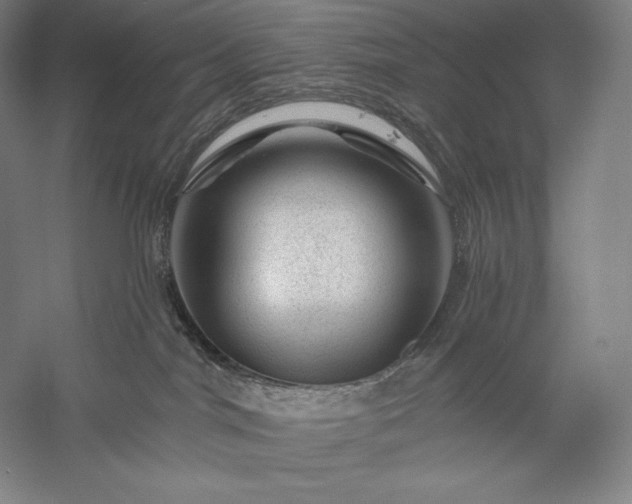 X0000056370044200509091700