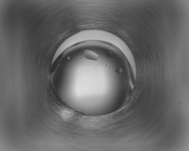 X0000056370045200509091700