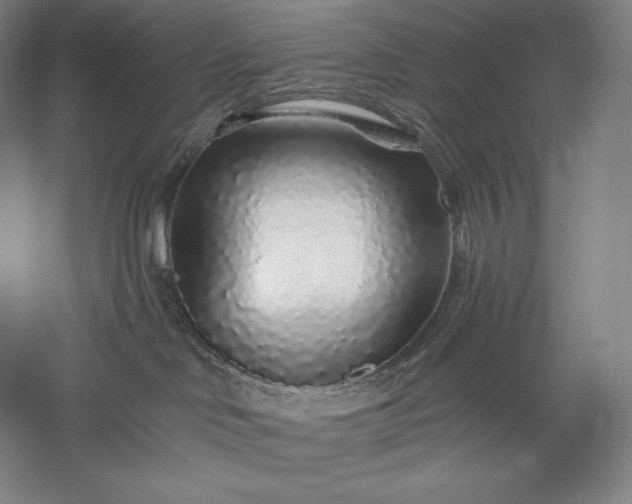 X0000056370046200509091700