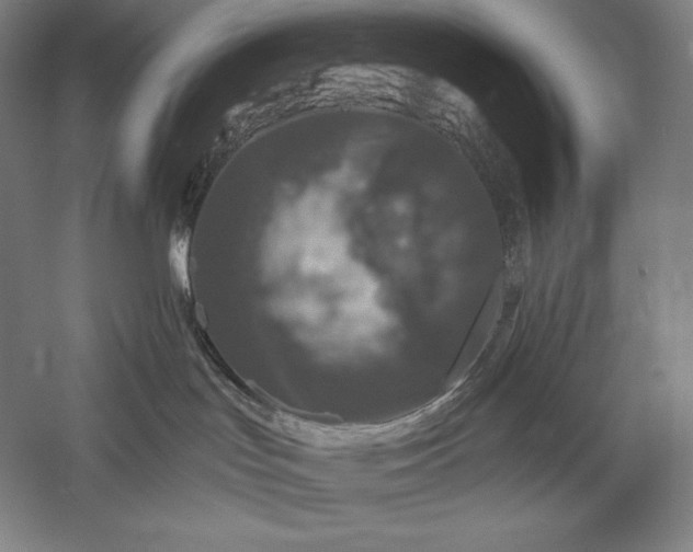 X0000056370047200509091700