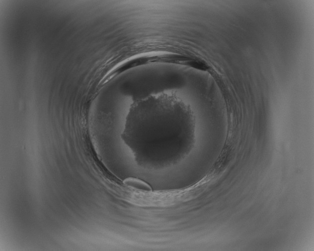 X0000056370048200509091700